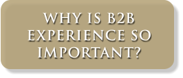 B2B Marketing Experts